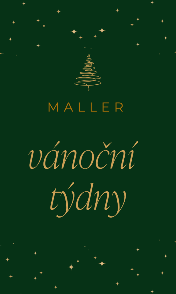 🎄VÁNOČNÍ TÝDNY🎄